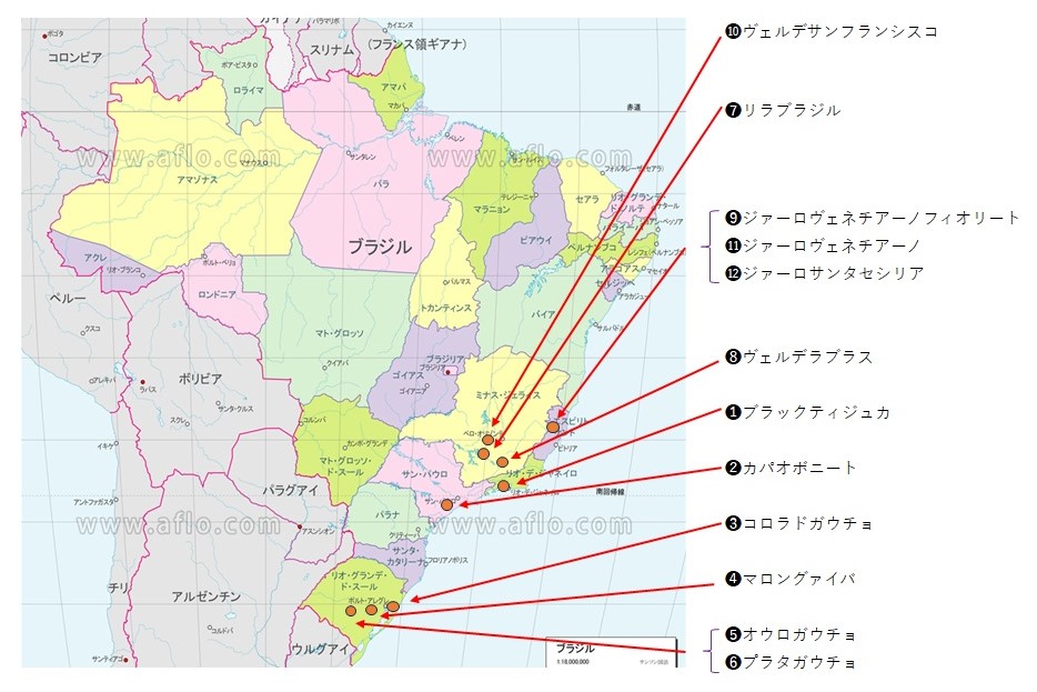 『丁場紀行』ブラジル丁場紀行　後編　No．14-1