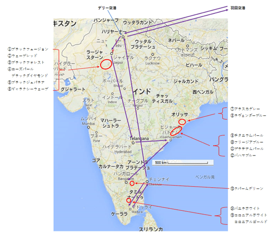 『丁場紀行』インド丁場紀行　第３弾　2024年12月出張　過酷移動編　No．15-1