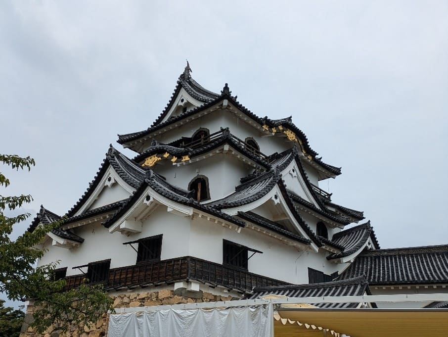お城で見つけた歯形
