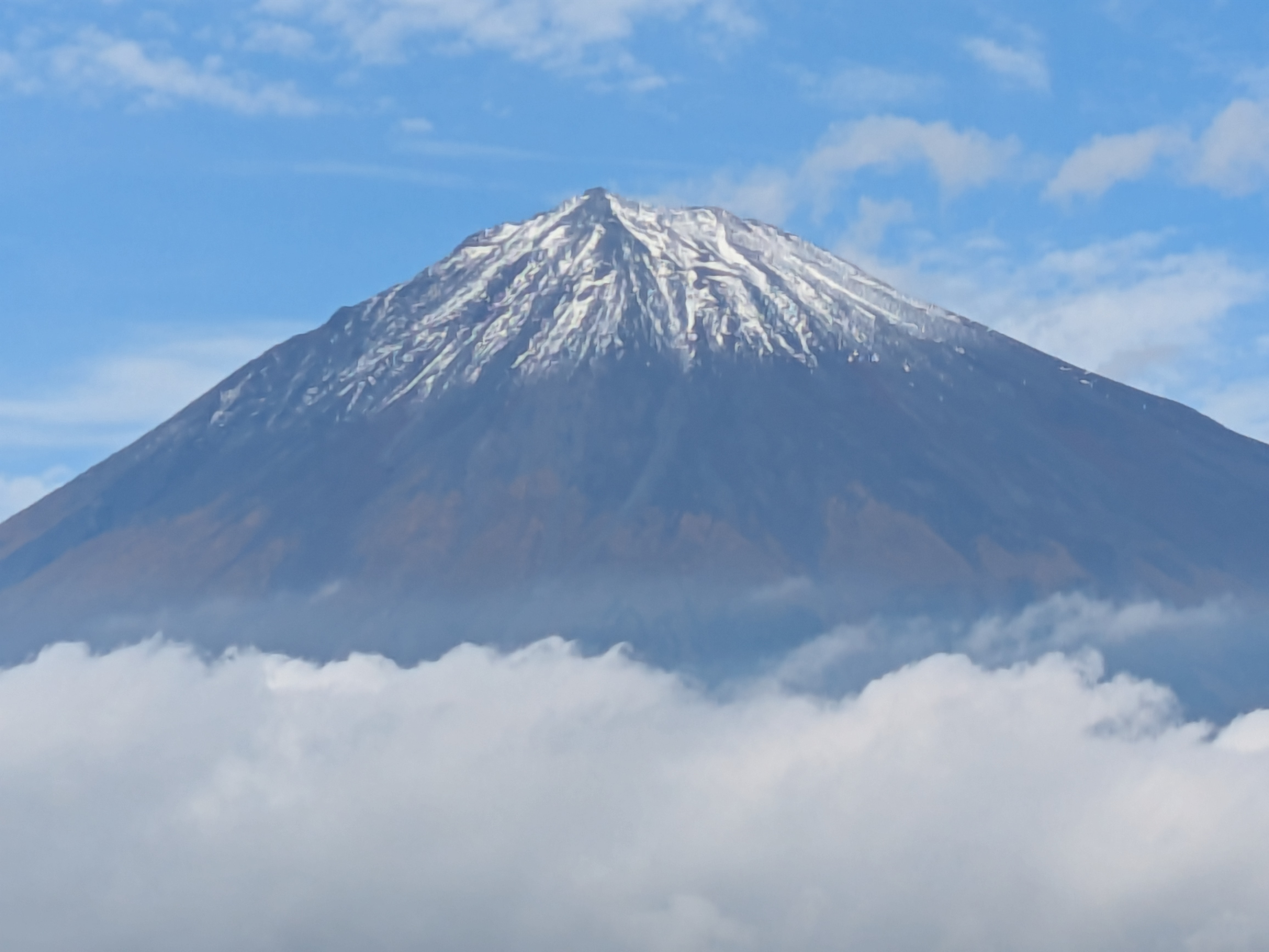 奇石博物館に行ってきました