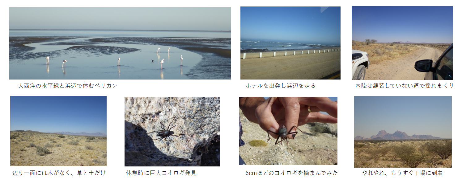 『丁場紀行』ナミビア丁場紀行　2017年6月出張編　No.17-3