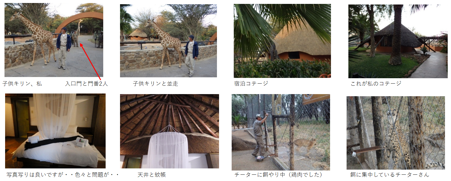 『丁場紀行』ナミビア丁場紀行　2017年6月出張編　No.17-4