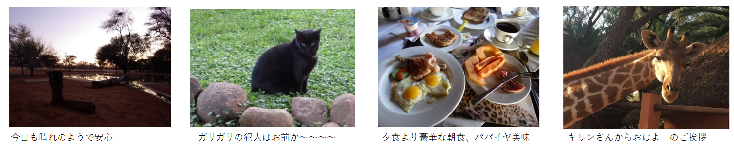 『丁場紀行』ナミビア丁場紀行　2017年6月出張編　No.17-5