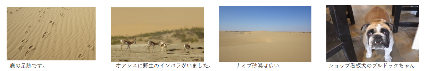 『丁場紀行』ナミビア丁場紀行 2017年6月出張編 No.17-6