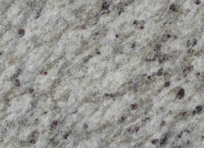 ニューチダホワイト