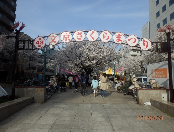 文京さくらまつり