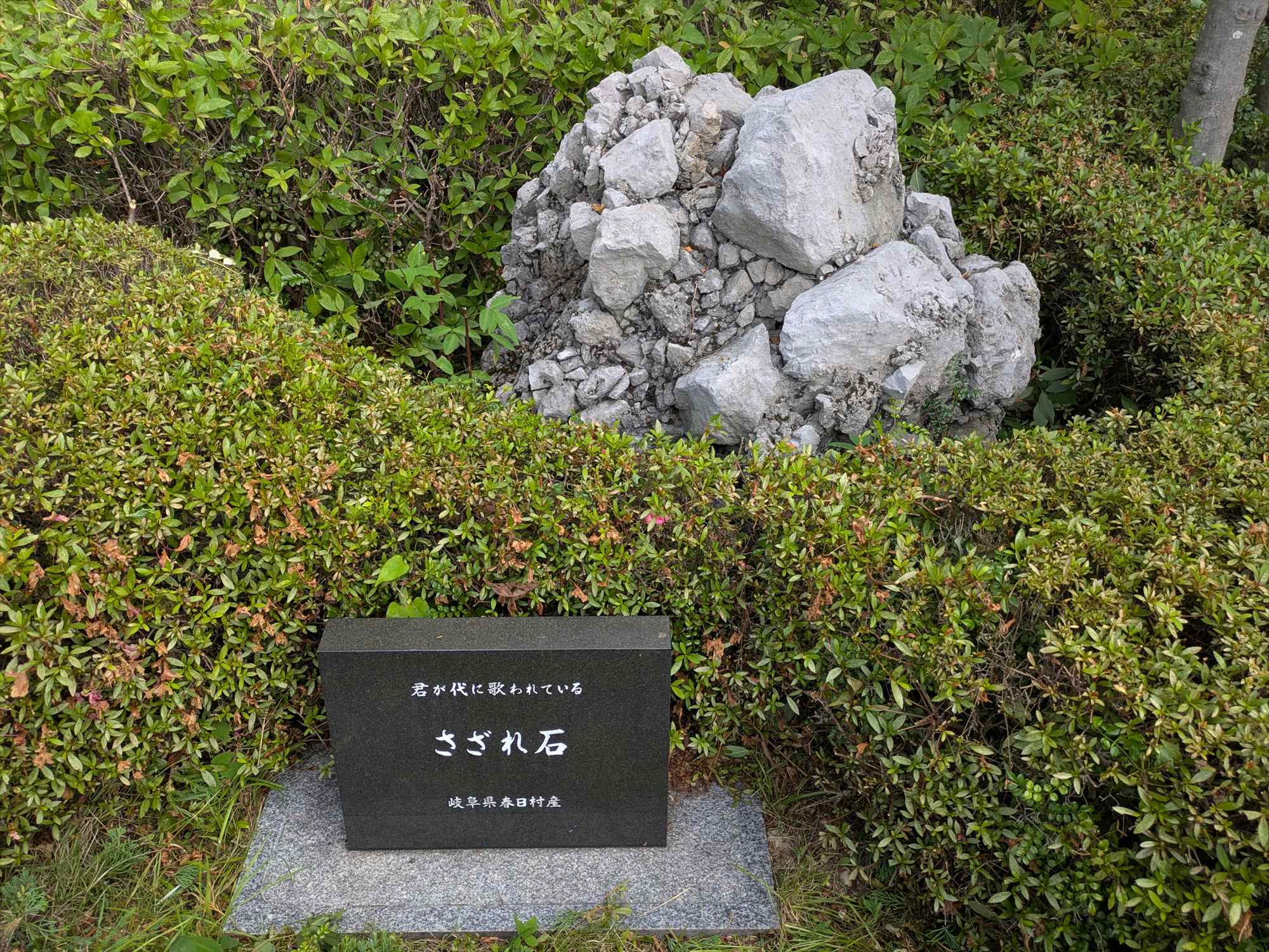 色鳥々 ~名古屋から岐阜へ~