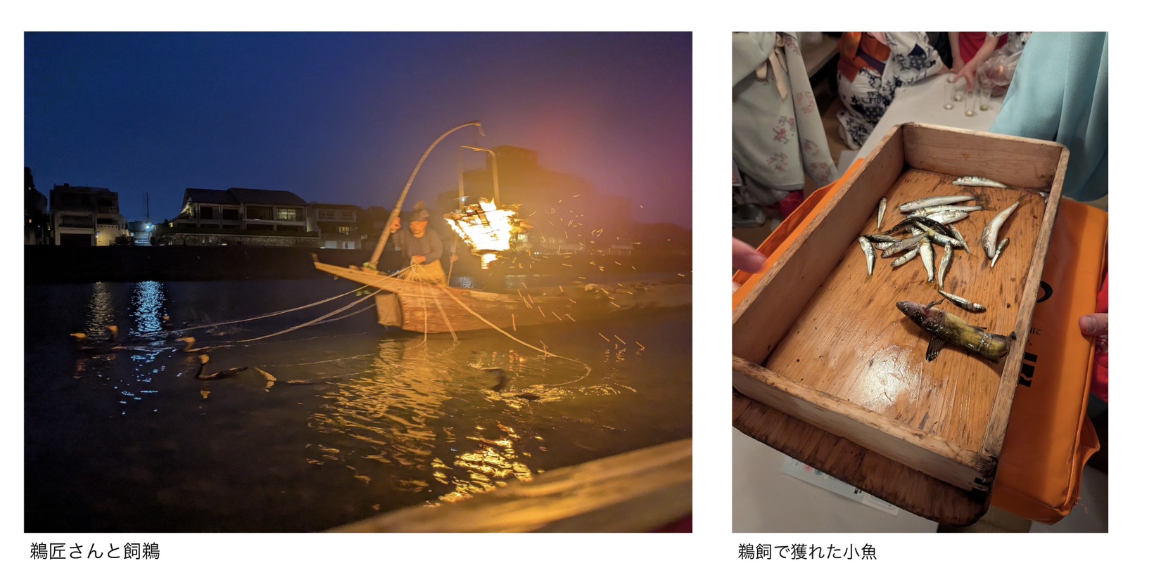 色鳥々 ~名古屋から岐阜へ~